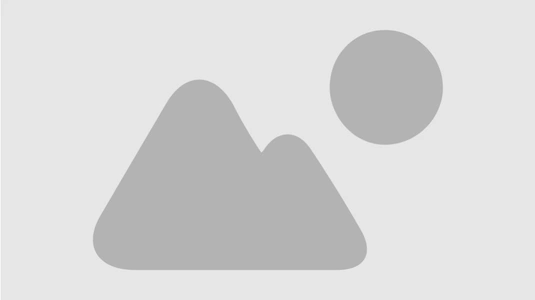 City logo